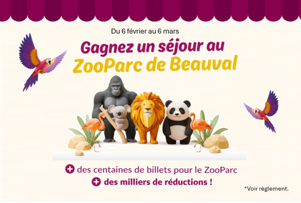 Jeu concours ZooParc Beauval